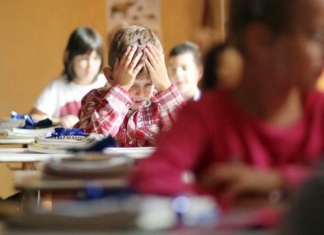 FSLI: Rezultatele testelor PISA sunt dureroase. Singura șansă a educației, pentru a fi performantă, este aceea de a fi smulsă de sub papucul politic