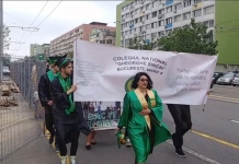 Silvia Mușătoiu, fosta directoare de la Șincai, numită consilier al ministrului Educației