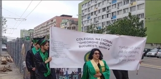 Silvia Mușătoiu, fosta directoare de la Șincai, numită consilier al ministrului Educației