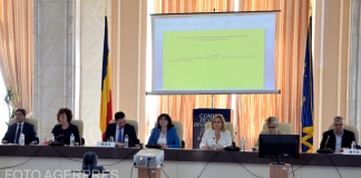 Monica Anisie, aviz negativ în comisii după o audiere în care a vorbit despre debirocratizare și fenomenul ”vizelor de flotant” VIDEO