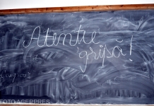 Peste 60 de unități de învățământ din București, închise parțial din cauza gripei. În toată țara, 7.061 de elevi stau acasă