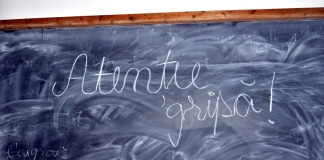 Lista actualizată a unităților de învățământ care au cursurile suspendate parțial sau integral din cauza gripei UPDATE