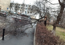 Școli închise în județul Brașov din cauza vântului puternic – anunț MEC