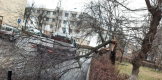 Școli închise în județul Brașov din cauza vântului puternic – anunț MEC