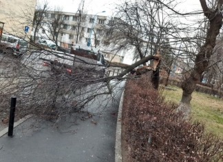 Școli închise în județul Brașov din cauza vântului puternic – anunț MEC