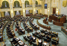 Senatorii au respins Ordonanța de urgență privind majorarea etapizată a alocaţiilor pentru copii