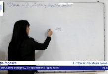 Lecții video pentru elevii din învățământul primar, gimnazial și liceal, transmise de ISMB. Programul pentru această săptămână VIDEO