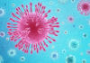 Elevi retrași de părinți de la ore, de teamă că o colegă întoarsă din Italia ar putea avea coronavirus