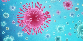 Elevi retrași de părinți de la ore, de teamă că o colegă întoarsă din Italia ar putea avea coronavirus