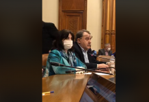 Monica Anisie, aviz negativ în comisii. Anunțul ministrului privind programul ”Teleșcoala” și extinderea acestuia VIDEO