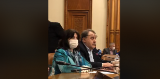 Monica Anisie, aviz negativ în comisii. Anunțul ministrului privind programul ”Teleșcoala” și extinderea acestuia VIDEO