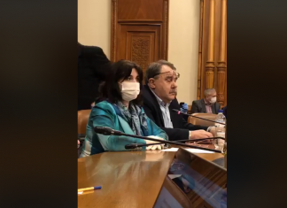 Monica Anisie, aviz negativ în comisii. Anunțul ministrului privind programul ”Teleșcoala” și extinderea acestuia VIDEO