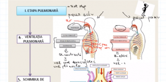 Ora de Biologie pe net. Mihaela Șandor își pregătește online elevii pentru BAC, într-o perioadă în care ”ne ajutăm și învățăm unii de la alții”