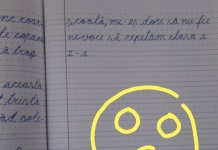 Raluca Ciobanu, învățătoare: „E nevoie de moderație în Școala Online. Unii profesori doresc să se afirme și au transformat școala în scenă de teatru”