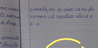 Raluca Ciobanu, învățătoare: „E nevoie de moderație în Școala Online. Unii profesori doresc să se afirme și au transformat școala în scenă de teatru”