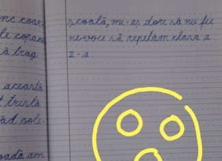 Raluca Ciobanu, învățătoare: „E nevoie de moderație în Școala Online. Unii profesori doresc să se afirme și au transformat școala în scenă de teatru”