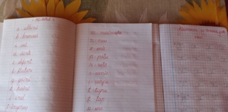 O elevă de clasa a VII-a scrie lecțiile pentru copiii din sat care nu au acces la tehnologie: ”Am vrut să fac ceva pentru cei care nu au posibilități”