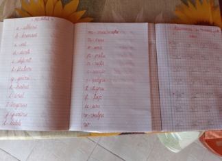 O elevă de clasa a VII-a scrie lecțiile pentru copiii din sat care nu au acces la tehnologie: ”Am vrut să fac ceva pentru cei care nu au posibilități”