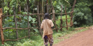 Avertisment UNICEF: COVID-19 ar putea ucide indirect până la 6.000 de copii pe zi în următoarele şase luni