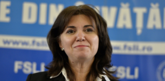 Monica Anisie, propusă pentru funcția de ministru al Educației în cabinetul Veștea. Aviz nefavorabil în comisiile parlamentare de specialitate UPDATE