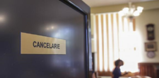 Profilul profesorului și standardele profesiei didactice – proiect de ordin lansat în consultare publică de Ministerul Educației
