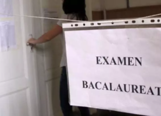 A doua probă a examenului de Bacalaureat 2020: Limba și literatura maternă. Subiectele și baremele de corectare