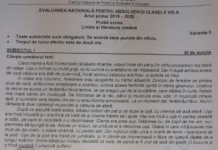 Subiecte Evaluarea Națională 2020. Profesoară de română: ”Subiectele nu au fost deloc dificile.” Cum se rezolvau VIDEO
