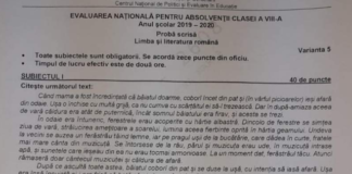 Subiecte Evaluarea Națională 2020. Profesoară de română: ”Subiectele nu au fost deloc dificile.” Cum se rezolvau VIDEO