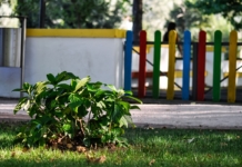 Înscrierea copiilor la grădiniță pentru anul școlar 2022-2023 va începe pe 30 mai. Reînscrierile se vor face din data de 16 mai