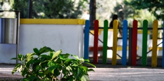 Ordinul privind redeschiderea creșelor, grădinițelor și after-school-urilor a fost publicat în Monitorul Oficial – document