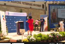 Profesorii care au predat la TV, premiați în cadrul Galei ”Teleșcoala”. Monica Anisie: Proiectul trebuie să continue VIDEO