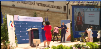Profesorii care au predat la TV, premiați în cadrul Galei ”Teleșcoala”. Monica Anisie: Proiectul trebuie să continue VIDEO