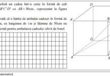 Matematică, Evaluarea Națională 2021. Profesoara Adina Oancea: ”Itemi stufoși, probleme cu un grad de dificultate mai scăzut”. Ce spun elevii