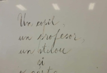 Monica Anisie: Acest început trebuie să fie, în primul rând, despre copii. Noi, profesorii, vom avea șansa să dovedim și acum că putem să-i pregătim pe elevi pentru viață