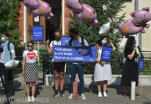 Protest în prima zi de școală, la Ministerul Educației: ”Porcii zboară, școala începe, elevii tot nu au tablete” VIDEO