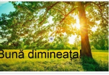 Întâlnirea de dimineață, la clasele primare. Claudia Badiu: Un moment în care pregătim terenul pentru învățare și țesem plasa de siguranță emoțională
