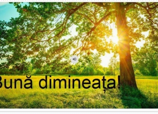 Întâlnirea de dimineață, la clasele primare. Claudia Badiu: Un moment în care pregătim terenul pentru învățare și țesem plasa de siguranță emoțională