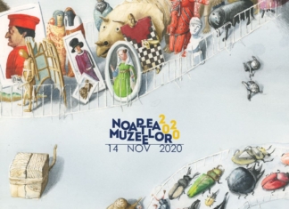Opt echipe de elevi vor face proiecte digitale pentru Noaptea Muzeelor 2020