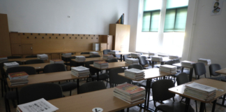 Monica Anisie: În cadrul Ministerului Educației se lucrează la documente pentru adaptarea programei la învățarea în sistem online