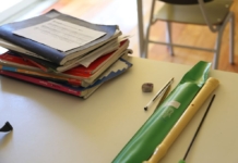 Ministrul Educației: Pe perioada verii, încurajăm organizarea de tabere de vară în care să se facă şi ore remediale