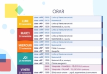 Teleșcoala: Lecții la TVR pentru elevii claselor a VIII-a și a XII-a. Orarul săptămânii 23-27 noiembrie