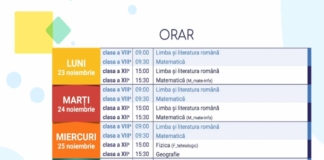 Teleșcoala: Lecții la TVR pentru elevii claselor a VIII-a și a XII-a. Orarul săptămânii 23-27 noiembrie
