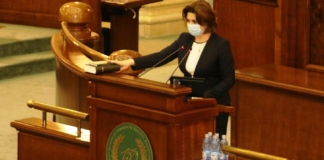Monica Anisie va conduce Comisia pentru învăţământ din Senat