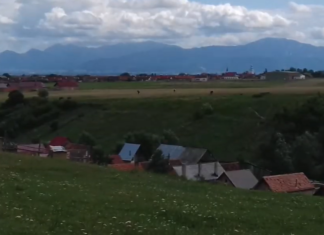 Concursul „Viitorul pe placul tău”. Ce soluții propun elevii la problemele din comunitatea lor. Proiectele celor nouă echipe finaliste VIDEO