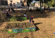Rodica Gavriș-Pascu: Merg cu plăcere la școală pentru că îmi place să învăț zilnic de la elevii mei. Copiii vin cu plăcere la școală pentru că se simt validați