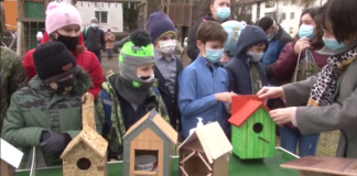 Activități în aer liber, în prima zi de școală din semestrul II. Copiii au construit căsuțe pentru păsări: ”Am făcut o faptă bună și sunt mândră”