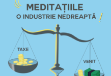 Reprezentanții elevilor cer fiscalizarea meditaţiilor şi sancţionarea contravenţională a cadrelor didactice care nu declară aceste surse de venit