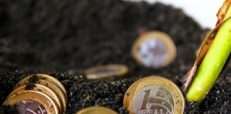 Platformă de educație financiară, lansată de Ministerul Educației, BNR, Ministerul Finanțelor, ASF și Asociația Română a Băncilor