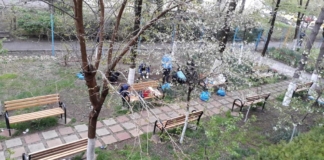 Școala în care se predă transdisciplinar, iar în pauze se dansează: ”Creativ, vesel, experiențial. Pare ideal, dar la noi se întâmplă”