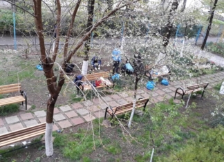 Școala în care se predă transdisciplinar, iar în pauze se dansează: ”Creativ, vesel, experiențial. Pare ideal, dar la noi se întâmplă”